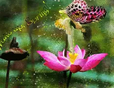 B阃恵?-H(uni和bi是什么意思)